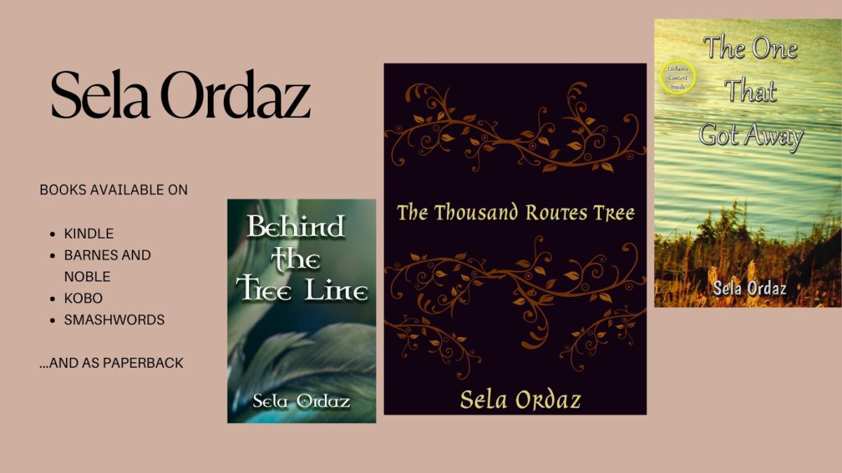 ebooks available on kindle by sela ordaz